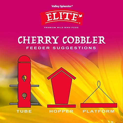 Cherry Cobbler