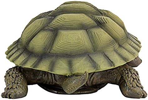 Design Toscano QM1887611 Gilbert the Box Turtle Garden Decor Animal Statue, 9 Inch, Full Color