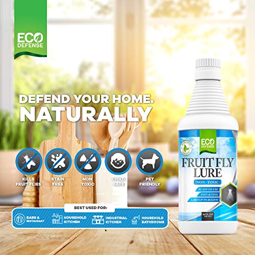 Eco Defense Fruit Fly Killer - Natural Fruit Fly Trap & Drain Fly Killer Treatment for Indoor Fly Control in Kitchen, Restaurants, and More, 16 Oz