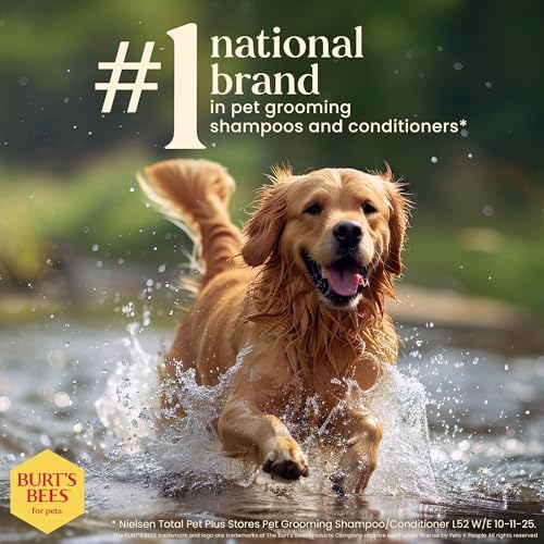 BURT'S BEES FOR PETS Ear Cleaner for Dogs with Pepeprmint and Witch Hazel, 99.7% Natural Origin Formulas, Dog Ear Cleaner, Ear Cleaning Solution for Dogs, 4 oz | 99.7 percent natural origin formula, gentle ear cleaning solution, for routine daily groomin…