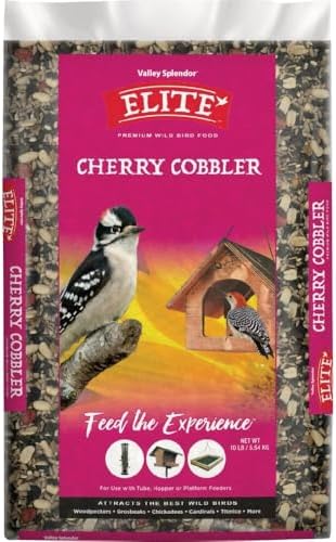 Cherry Cobbler