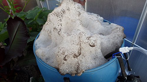 TeaLAB Insect Frass: Organic Fertilizer - 10 Pounds