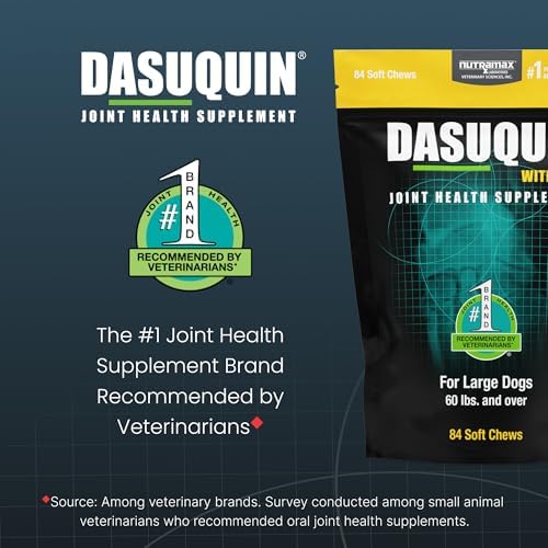 Nutramax Dasuquin MSM Joint Supplement for Large Dogs, Soft Chews, 84ct | Glucosamine and Chondroitin, ASU, MSM, Supports Healthy Joints, For Dogs Over 60 lbs, All Ages, Soft Chews