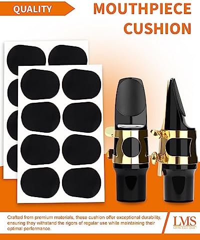 LMS Alto Saxophone Mouthpiece Reeds Kit with EVA Storage Case for Beginners | Alto Sax Mouth Piece Literature Reeds Set With Storage Bag