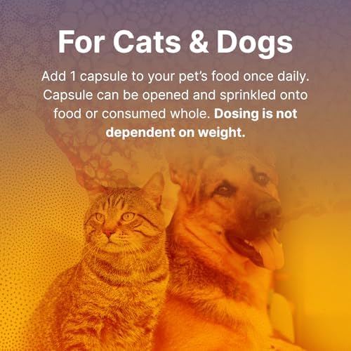 Microbiome Labs Fidospore - Dog Probiotics for Digestive Health & Immune Support - Spore-Forming Pet Probiotics for Dogs & Cats Gut Health