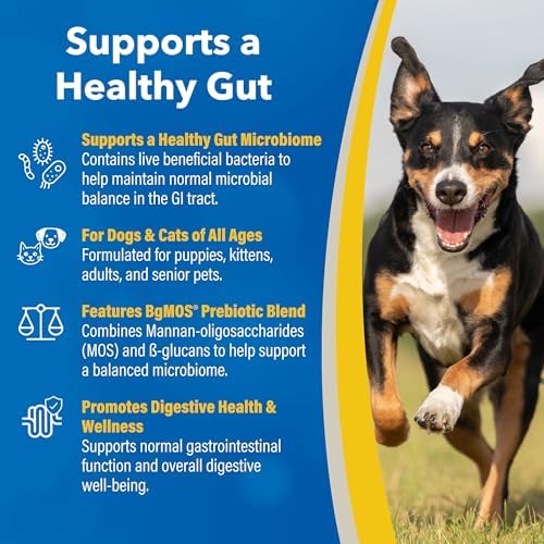 Doc Roys GI Synbiotics for Dogs and Cats, Prebiotic and Probiotic Granules, Digestive and Immune Support, Chicken Flavored, Made in USA, 454 gm