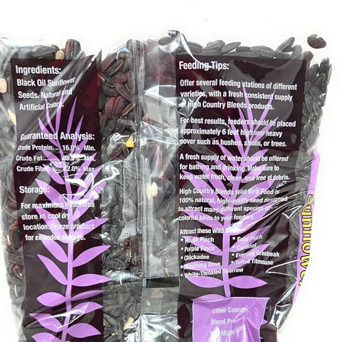 Wholesale C.B Black Oil Sunflower Seeds 1 Lb