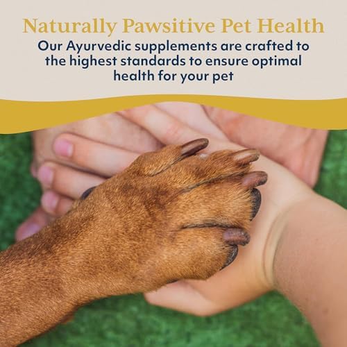 Ayush Pet CoCurcumin with CoQ10, Immune Support, 5.2 Oz