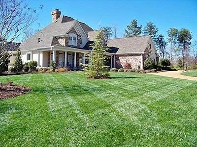 Centipede Grass Seed" Pure Raw Seeds" 1 Lbs Bag 2000 Sq.ft. Coverage