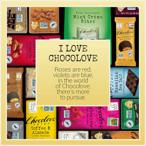 Chocolove Dark Chocolate Bars | 55% Cocoa | Crafted with Smooth Semi-sweet Premium Chocolate | Non GMO, Rainforest Alliance Certified