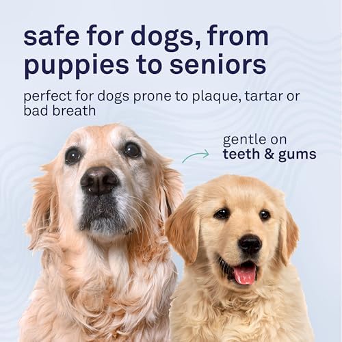 Petpost Dental Wipes for Dogs | 100 Count Presoaked Pads in Natural Tooth Cleaning Solution | Bad Breath and Tooth Buildup Remover