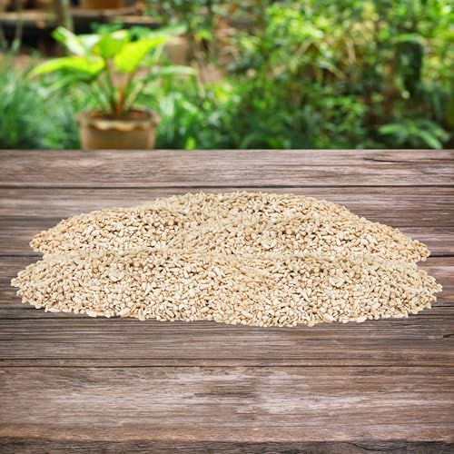 BestNest Medium Sunflower Chips Bird Seed, 25 lbs.