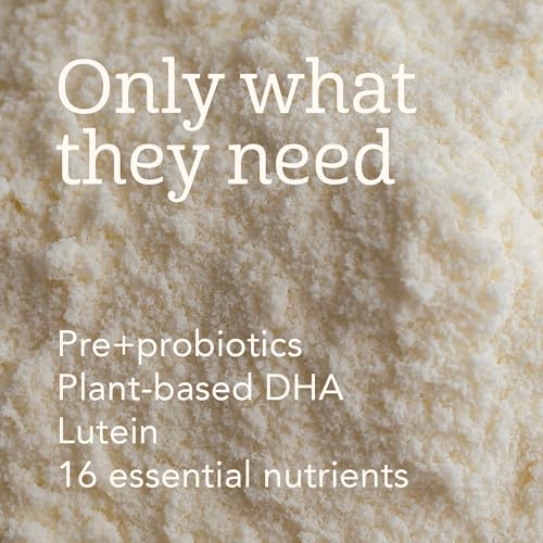 Haven Oat Toddler Formula, Dairy Free, 12+ Months, 14.1oz | European Oat Protein, No Corn Syrup or Maltodextrin, No Palm Oil, Plant-Based DHA Omega-3, Prebiotics & Probiotics, Lutein