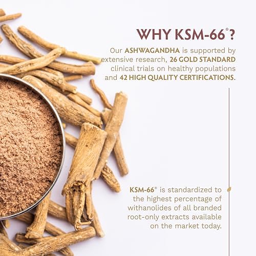 TRIBE ORGANICS Vegan Ashwagandha KSM 66 Pure Organic Root Powder Extract Ayurvedic Supplement - Focus Mood Support Increase Energy Strength 600mg of