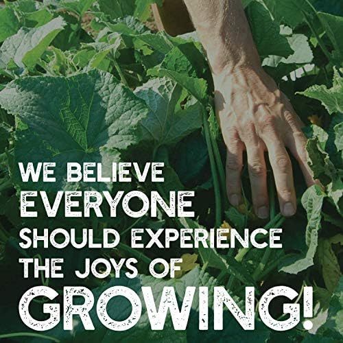 Handy Pantry Organic Spelt Seeds – Bulk Grain for Baking, Seed Rotation | Homesteading, Grinding – 30 lb Food-Grade Bucket – Non-GMO, Whole, Untreated