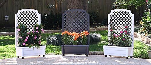 Exaco 1.416Green Calypso Trellis, Green planters