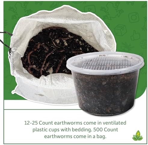 Josh's Frogs Nightcrawlers/Earthworms - 'Lumbricus terrestris' (16 oz)