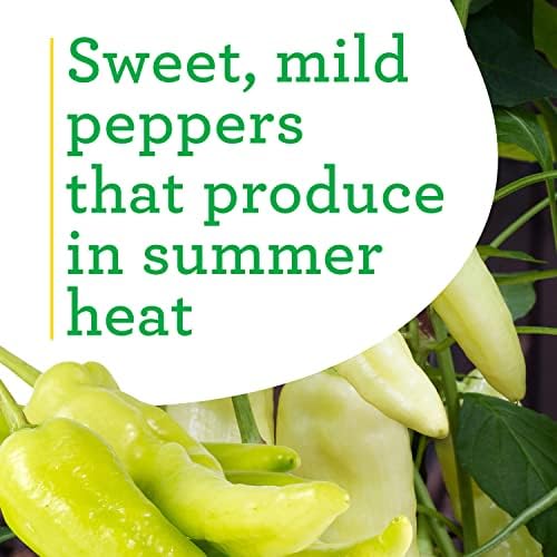 Bonnie Plants Sweet Banana Pepper - 4 Pack Live Plants, 6 Inch Fruit Size, Great For Frying & Pickling