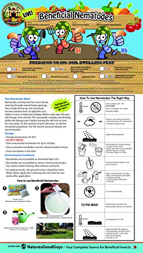 NaturesGoodGuys Beneficial Nematodes Steinernema feltiae SF - 5 Million