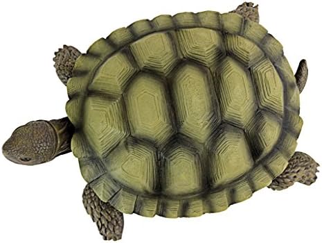 Design Toscano QM1887611 Gilbert the Box Turtle Garden Decor Animal Statue, 9 Inch, Full Color