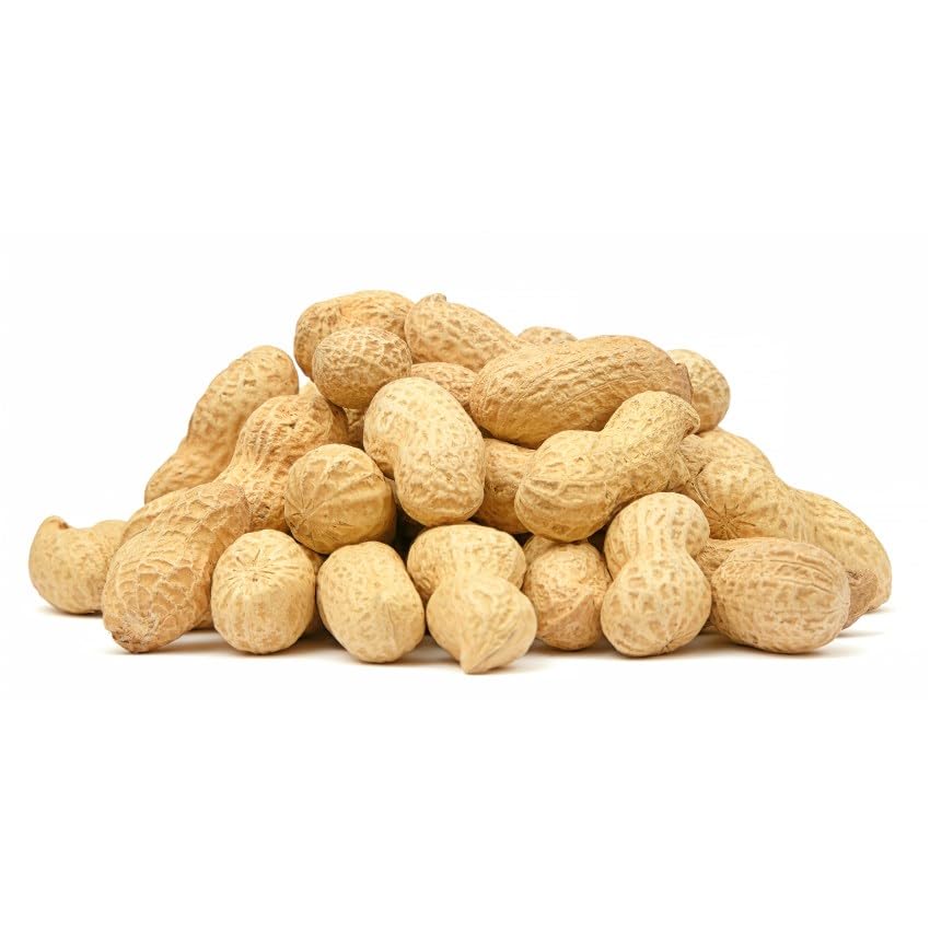 Roasted Jumbo Peanuts - 25 lb. - In the Shell