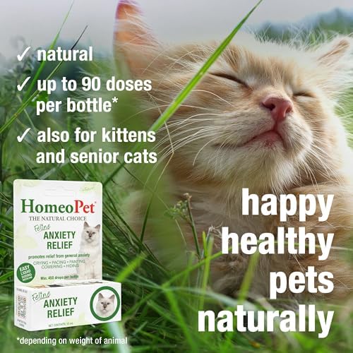HomeoPet Feline Anxiety Relief, Supplement for Cats, 15 Milliliters | Natural pet stress and anxiety support for cats