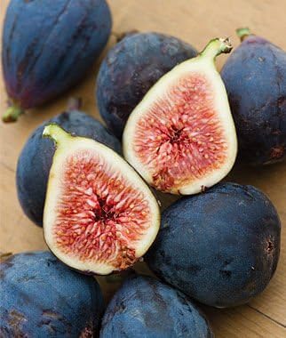 10 Seeds - Black Mission Fig Seeds