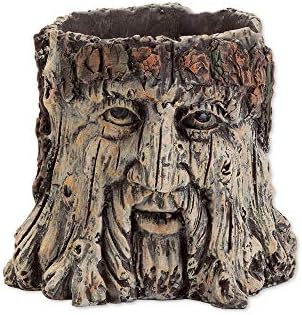 Bits and Pieces - Tree Face Garden Planter Flower Pot - 5 1/2 Inch
