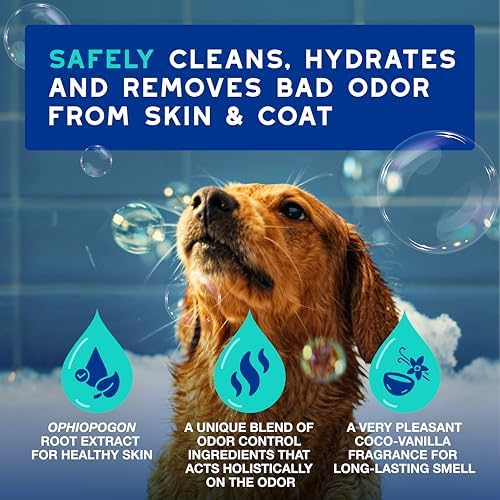 DOUXO SPA Dog Shampoo for Smelly Dogs, 16 fl oz | Hydrates the Skin, Removes Bad Odor, Leaves the Coat Soft and Smelling Great, Ultra-Safe Formula