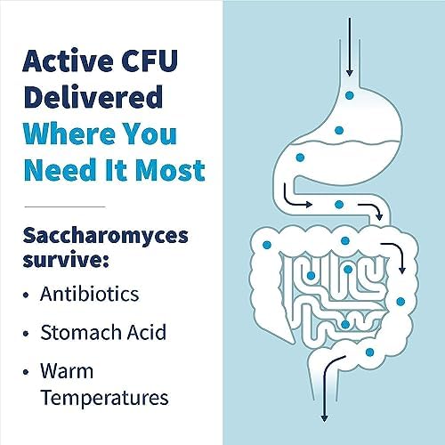 Klaire Labs SFI Health Saccharomyces Boulardii, 60 Count | 3 Billion CFU Yeast Probiotics for Digestive Health & Immune Support, Diarrhea Relief for Healthy Bowel Function