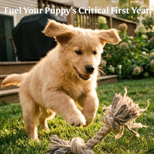 Bil-Jac Small Breed Puppy Dry Dog Food with Chicken, Oatmeal & Yams | 6 lb | Fresh Chicken Is the #1 Ingredient with Probiotics, Easy-to-Chew Bites & Omega Fatty Acids to Support Healthy Puppy Growth