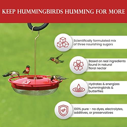 Hummingbird Nectar - All Natural Powder - Hydrating & Energizing, 5 lbs/80 oz. Makes 320 ozs