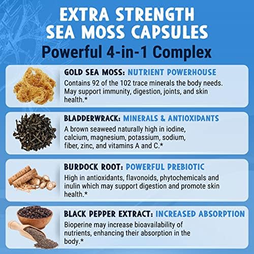 MAJU 4-in-1 Organic Sea Moss Capsules, Wild Chondrus Crispus, Seamoss w/Bladderwrack + Burdock Root, Stronger Than Gel, Irish