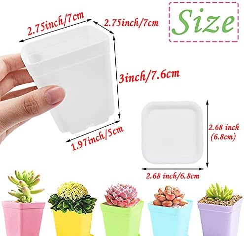 Haawooky 24 Pack Colorful Flower Pots Square Plastic Plant Pots Succulent Planter Nursery Pots with Saucers for Your Room
