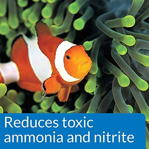 API MARINE QUICK START Saltwater And Reef Aquarium Nitrifying Bacillus 16-Ounce Bottle