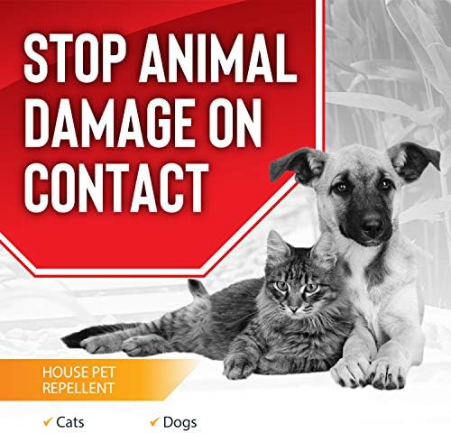 Animal Stopper, Granular Animal Repellent, All Natural, Effective All Year Round, Safe for People and Pets, No Harsh Chemicals, Ready to Use