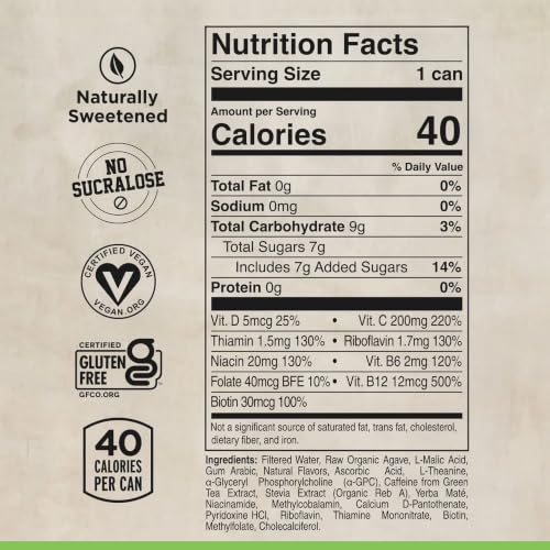 FOCUSAID Nootropic Energy Drink, 12 fl oz (12-Pack) | Nootropic energy drink with Alpha-GPC, GABA, B-Complex, Yerba Mate, & 100mg natural caffeine. 100% clean brain fuel.
