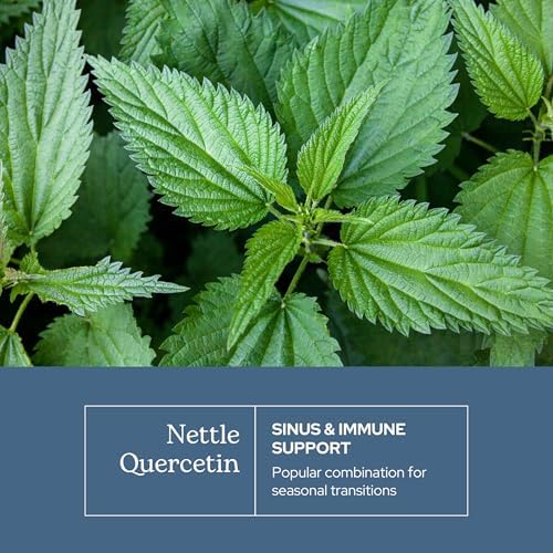 Eclectic Herb - Nettle Quercetin Capsules | Non-GMO, Vegan | 90 CT