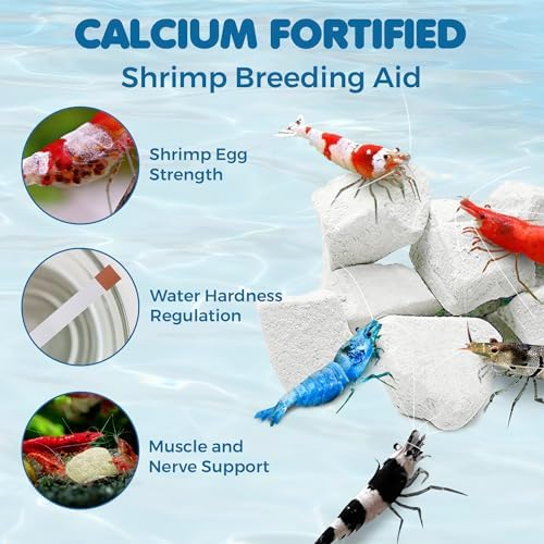 SunGrow Shrimp Rocks, Calcium, Magnesium Rocks for Crayfish, Hermit Crab, Snails, Crustacean Care, Aquarium Decor for Crystal Red, Amano and Ghost Shrimps, Nano Tank Accessories, Fish Tank Supplies