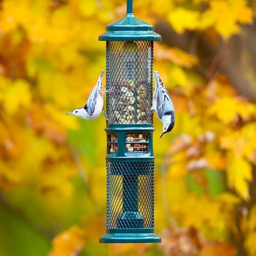 Squirrel Buster Nut Feeder Squirrel-Proof Bird Feeder for Shelled Peanuts & Dried Fruit, Weight-Adjustable, Woodpecker Friendly
