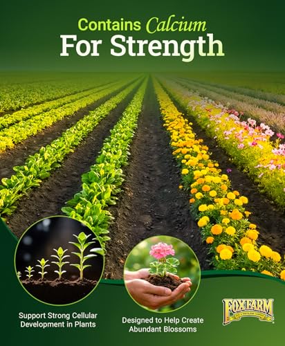 FoxFarm Happy Frog Steamed Bone Meal Fertilizer - Fine-Screened Phosphorus Fertilizer with Calcium & Mycorrhizal Fungi