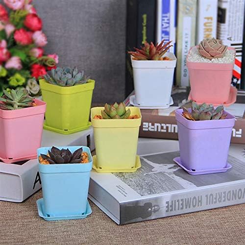Haawooky 24 Pack Colorful Flower Pots Square Plastic Plant Pots Succulent Planter Nursery Pots with Saucers for Your Room