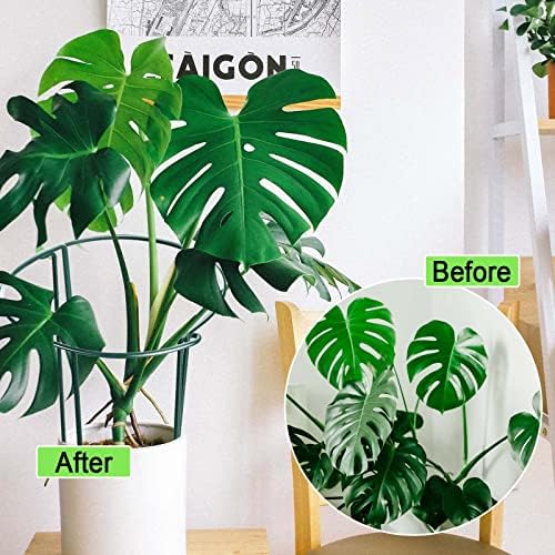 HiGift 8 Pack Plant Support Stakes, Half Round Metal Garden Plant Stake Indoor Peony Cages and Supports, Green Plant Support Ring Border for Tomato