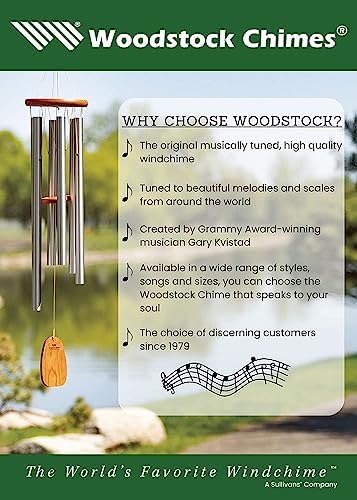 Woodstock Wind Chimes Encore Water Bell Fountain (14") Brass Serenity Bells Black Bowl for Indoor Home Garden Décor Christmas/Hanukkah Gifts (WEWBF)