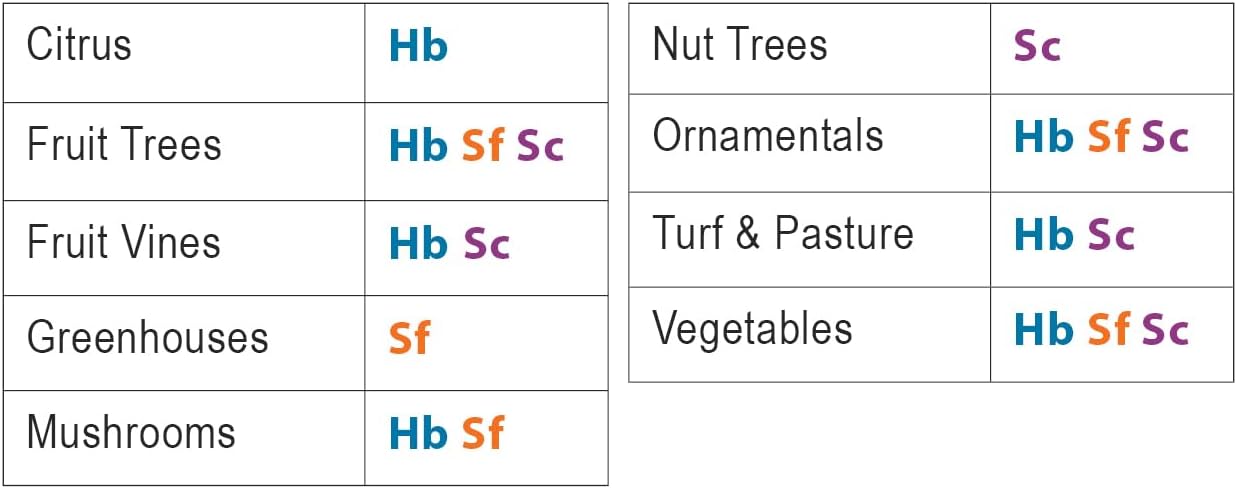 Beneficial Nematodes Sc-Steinernema carpocapsae 250 Million