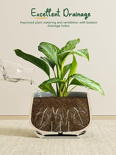 LE TAUCI Plant Pots, 4.1+5.1+6.5 inch, Set of 3, Ceramic Planters with Drainage Hole and Saucer, Indoor Flower Pot with Hole Mesh Pad, Gifts for Mom