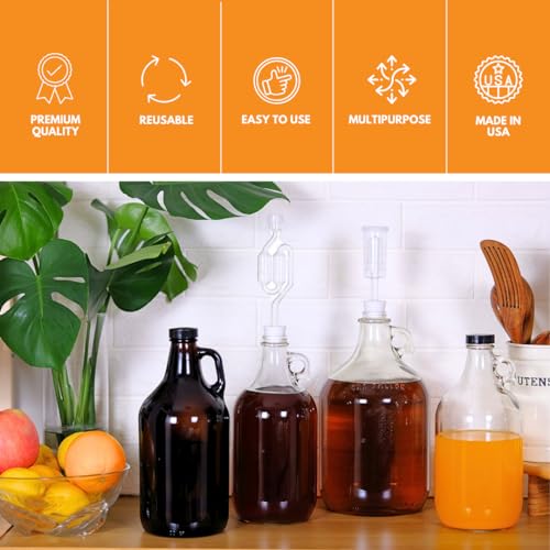 Home Brew Ohio 1 Gallon Glass Water Bottle Includes 38 mm Metal Screw Cap