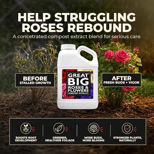 Great Big Roses Fertilizer Booster for Rose & Flower Gardens, 32 Ounce | Organic; For Roses, Flowers, Hydrangeas & Flowering Shrubs; Mix 4 oz per gal water; More Blossoms & Better Root Uptake