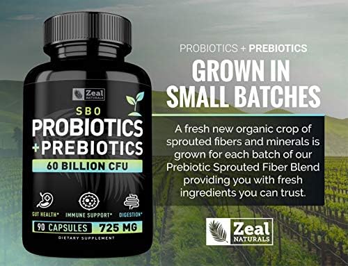 Probiotics and Prebiotics + SBO Probiotics (60 Billion CFU | 90 Capsules) Acidophilus Probiotic w. Saccharomyces Boulardii