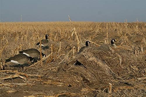 Avery KillerWeed Layout Blind Kit | 2 Lbs Resistant Palm Fiber Upland Field Hunting Concealment Camouflage Pack, Game Spot Covering Bundle